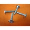 Self Tapping Screw (Phil Wafer)