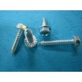 Hex Socket Self Tapping Screw