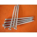 Nail Screw