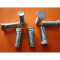 Non-standrads Screw