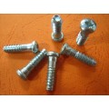 Self Tapping Screw