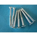 Nail Screw
