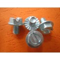 Hex Slotted Machine Screw