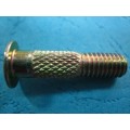 Non-standards Screw