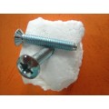 Machine Screw