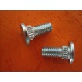 Non-Standard Screw