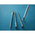 Wood Screw