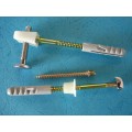 Nail Screw/Nylon Anchor Screw