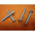 Self-tapping Screw